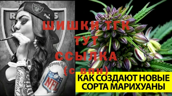мдпв Бугульма