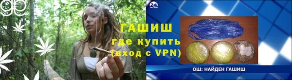 гидра Бородино