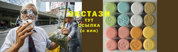 гидра Бородино