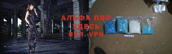 гидра Бородино