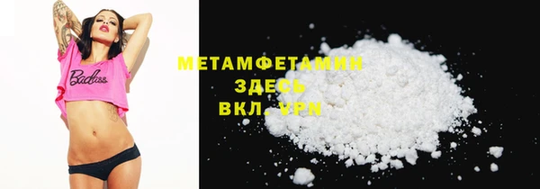 гидра Бородино