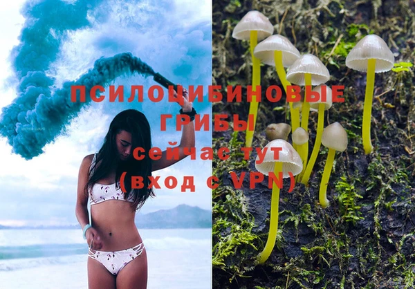 гидра Бородино