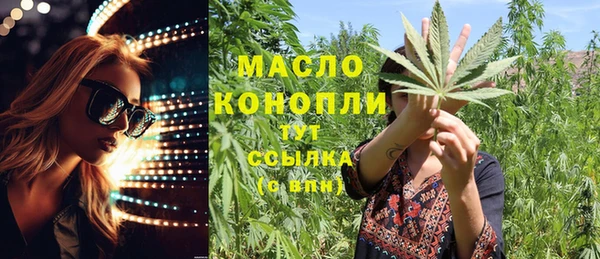 гидра Бородино