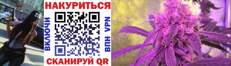 Купить закладки  Медногорск  Каннабис план 
